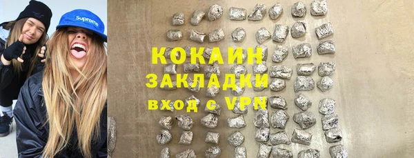 стаф Алексин