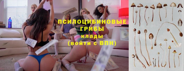ALPHA-PVP Алексеевка