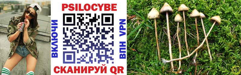 где купить наркоту  Волгодонск  Псилоцибиновые грибы GOLDEN TEACHER 